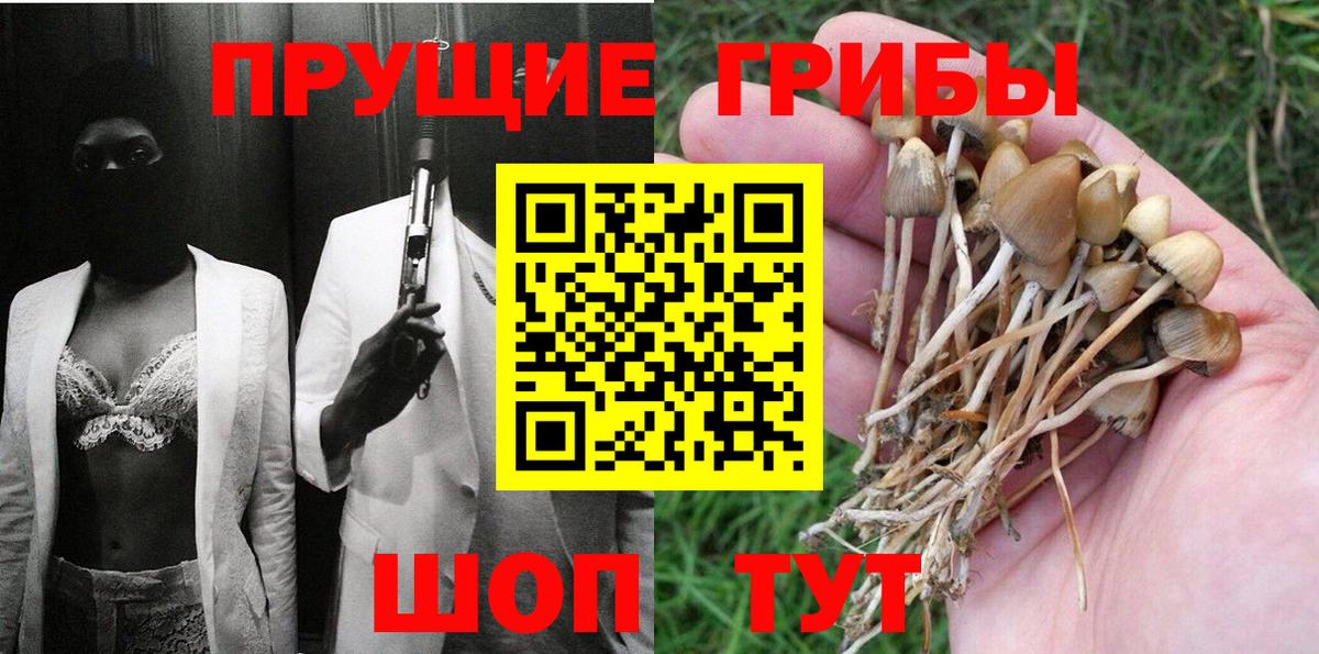 Галлюциногенные грибы MAGIC MUSHROOMS Кувандык