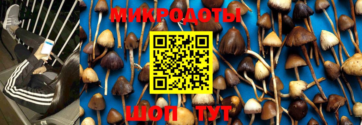 Псилоцибиновые грибы мицелий  сколько стоит  Кувандык  Галлюциногенные грибы ЛСД  Вход с VPN 