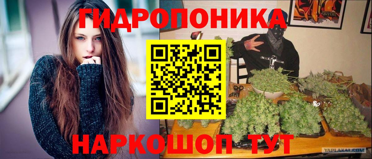 Шишки марихуана White Widow Кувандык